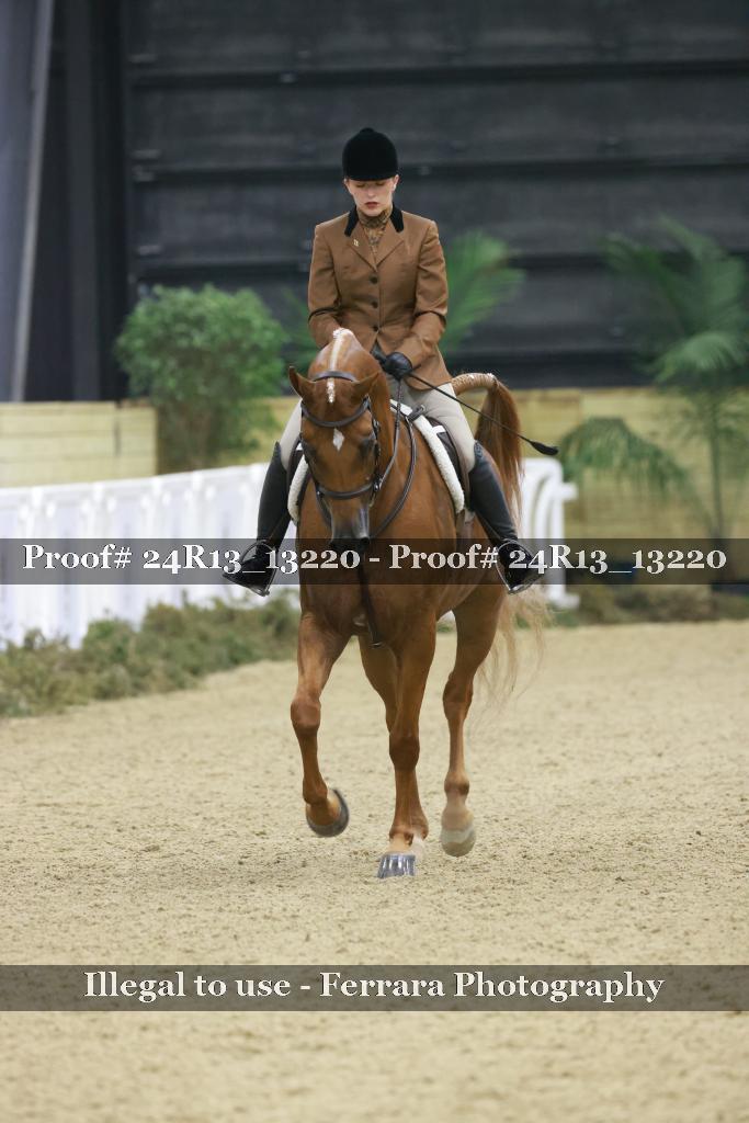 Proof 24R13_13220