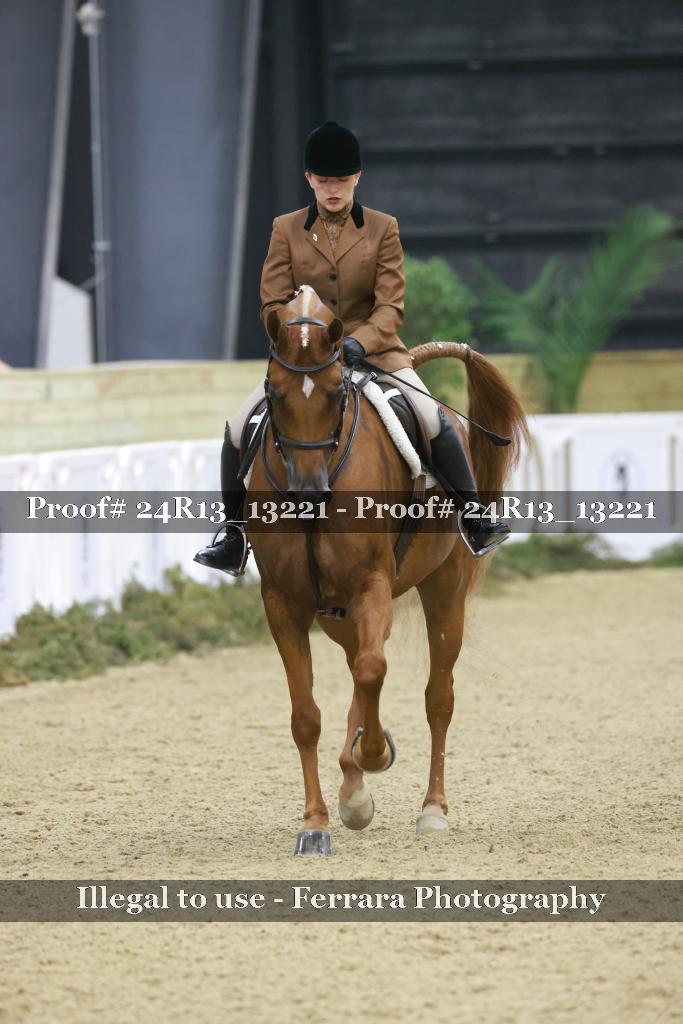 Proof 24R13_13221