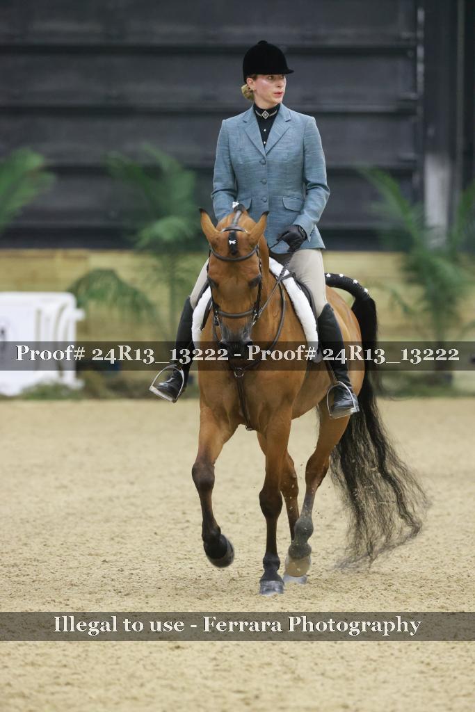Proof 24R13_13222