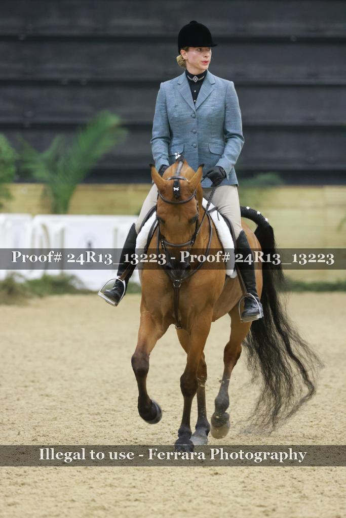 Proof 24R13_13223