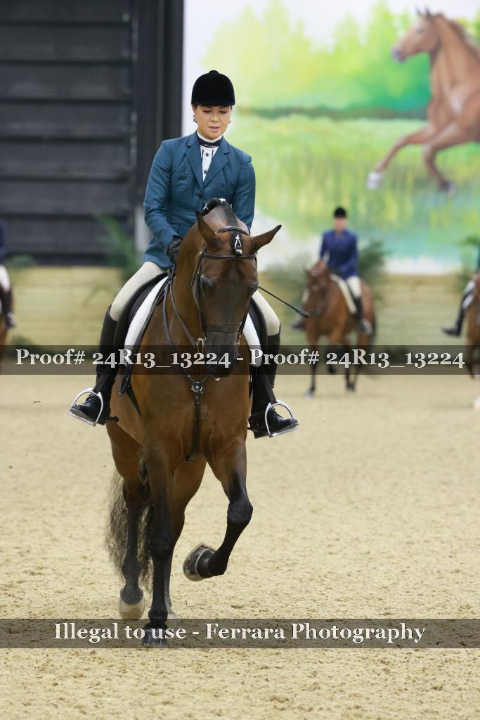 Proof 24R13_13224