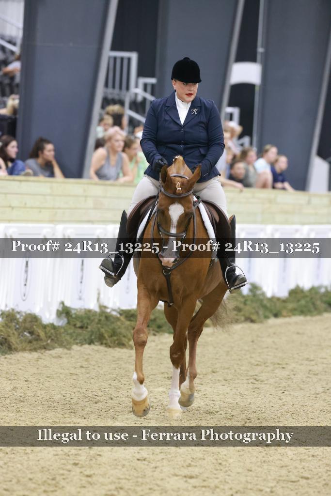 Proof 24R13_13225