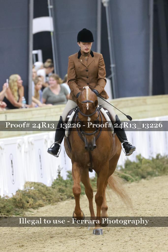 Proof 24R13_13226