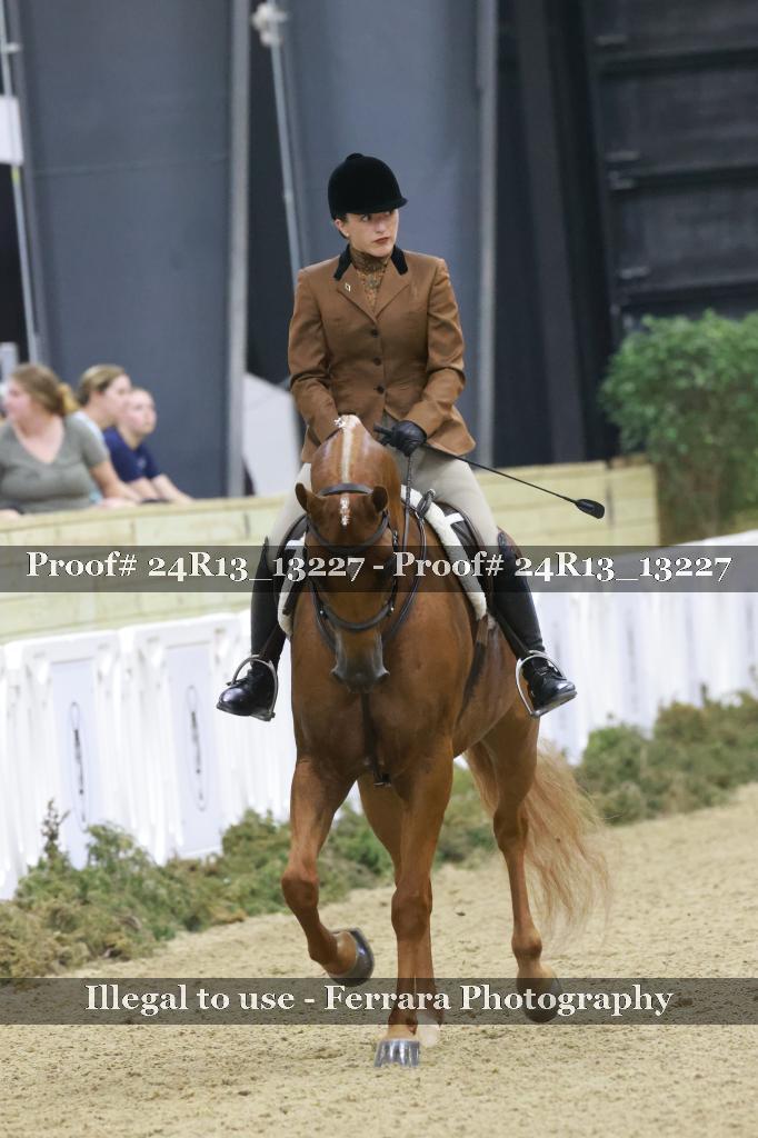 Proof 24R13_13227