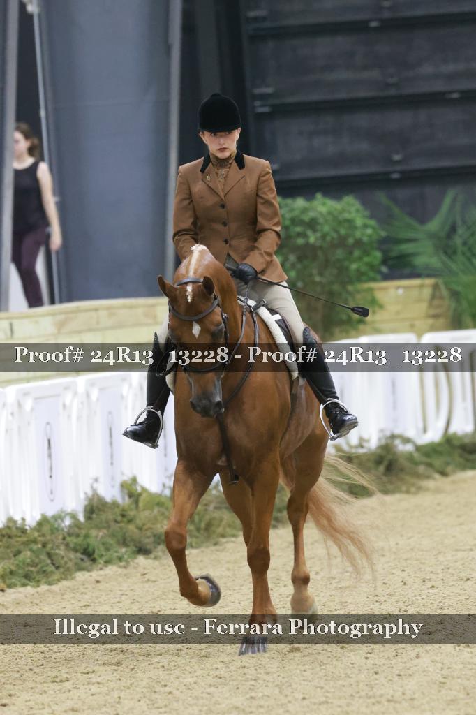 Proof 24R13_13228