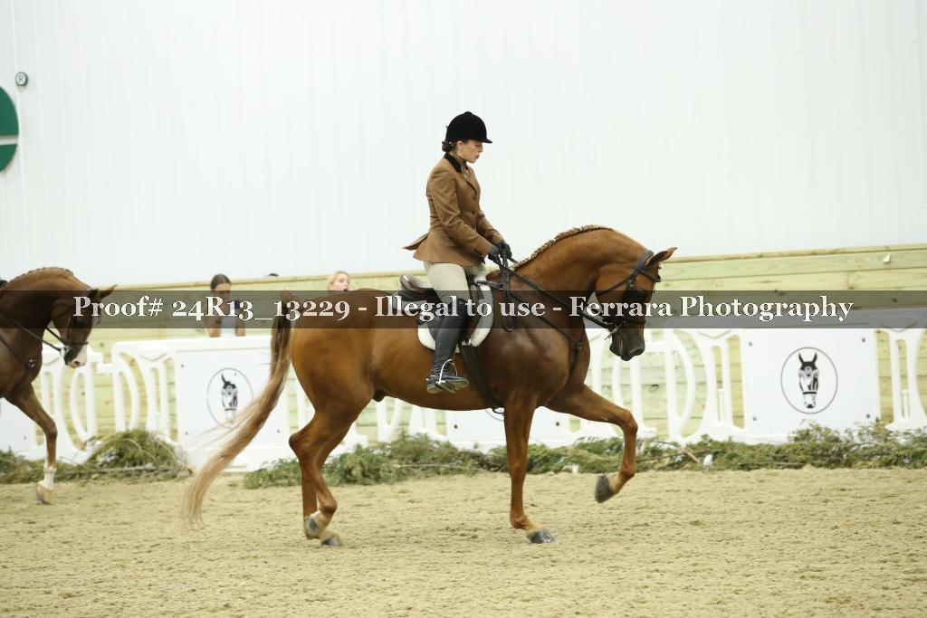 Proof 24R13_13229
