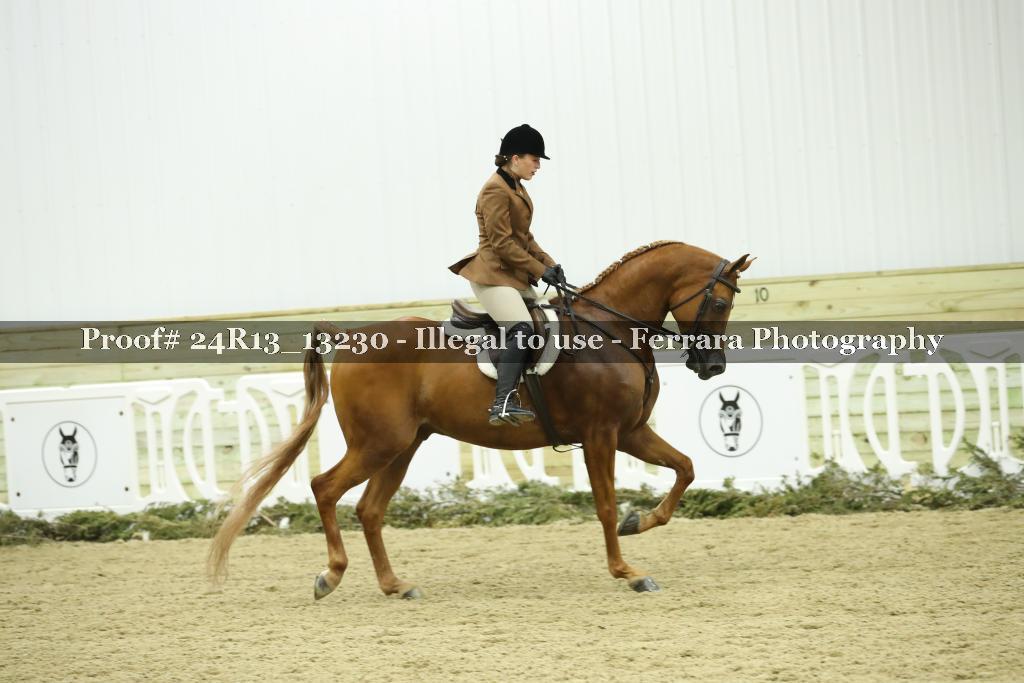 Proof 24R13_13230