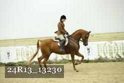 24R13_13230 proof