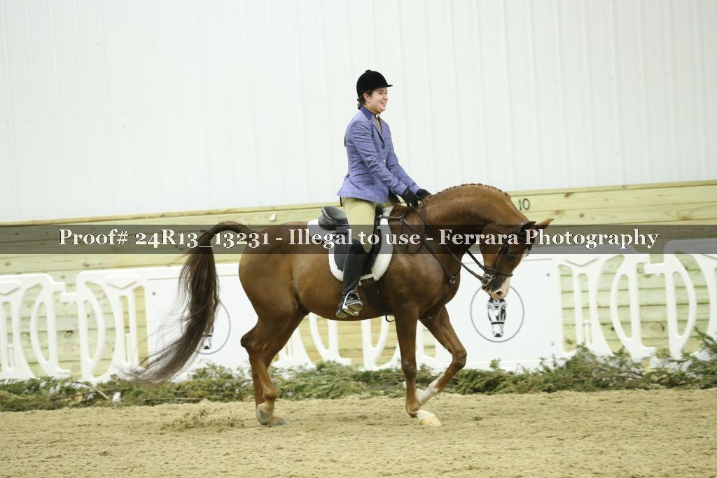 Proof 24R13_13231