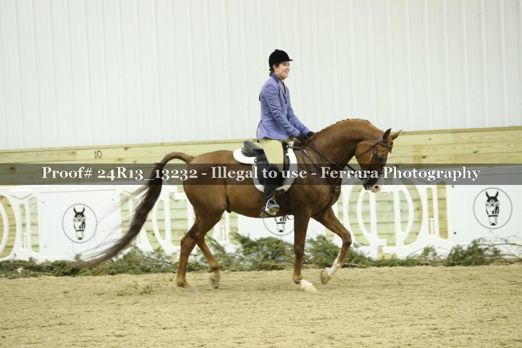 Proof 24R13_13232