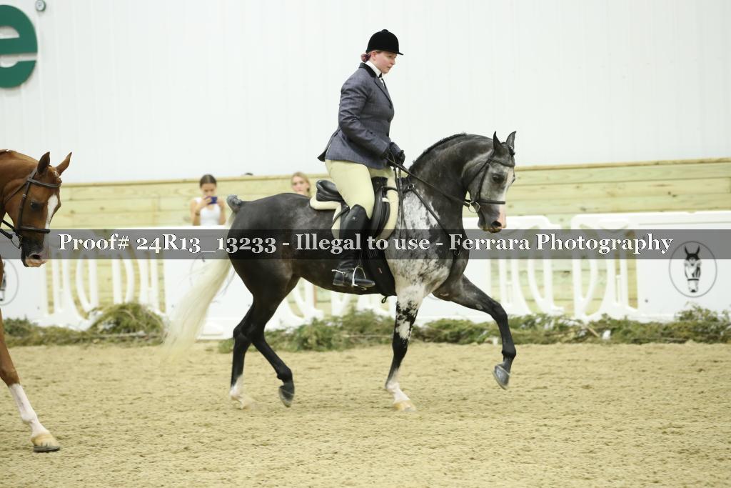 Proof 24R13_13233