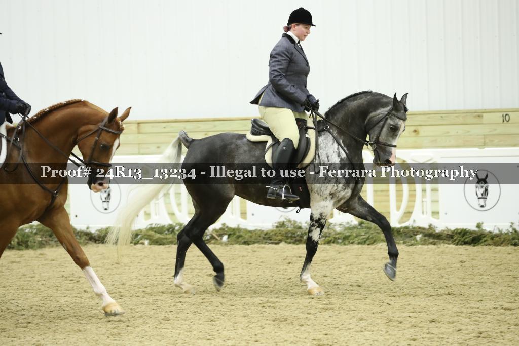 Proof 24R13_13234