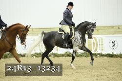24R13_13234 proof