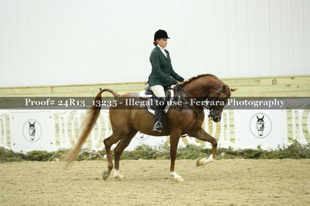 Proof 24R13_13235