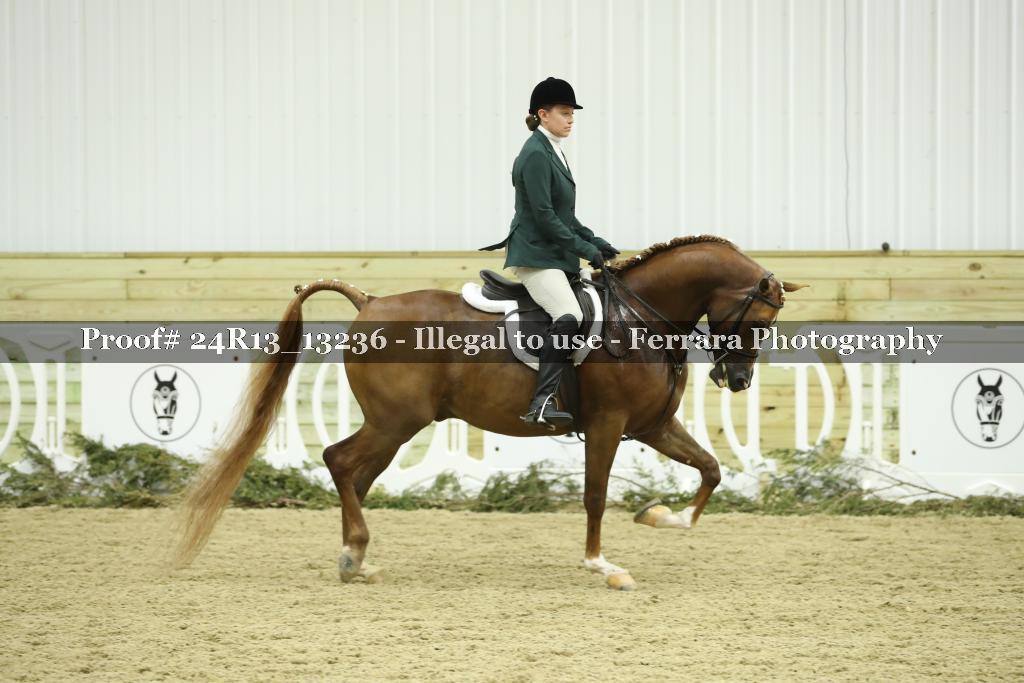 Proof 24R13_13236