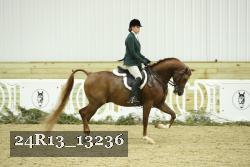 24R13_13236 proof