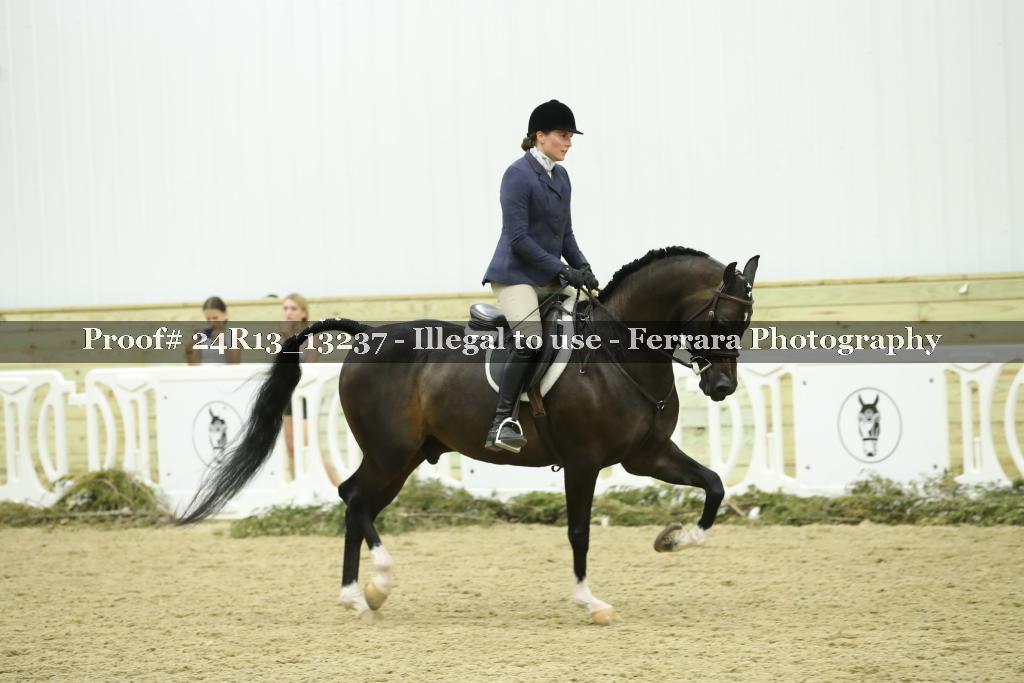 Proof 24R13_13237