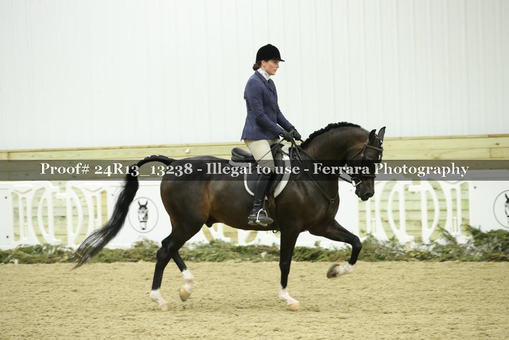 Proof 24R13_13238