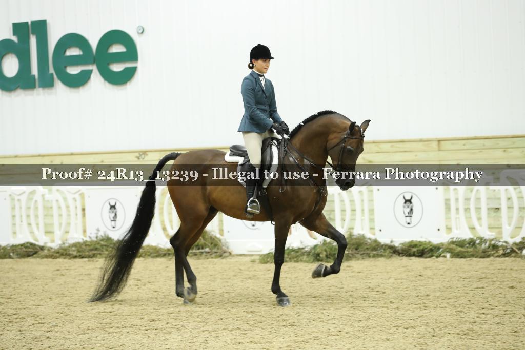 Proof 24R13_13239