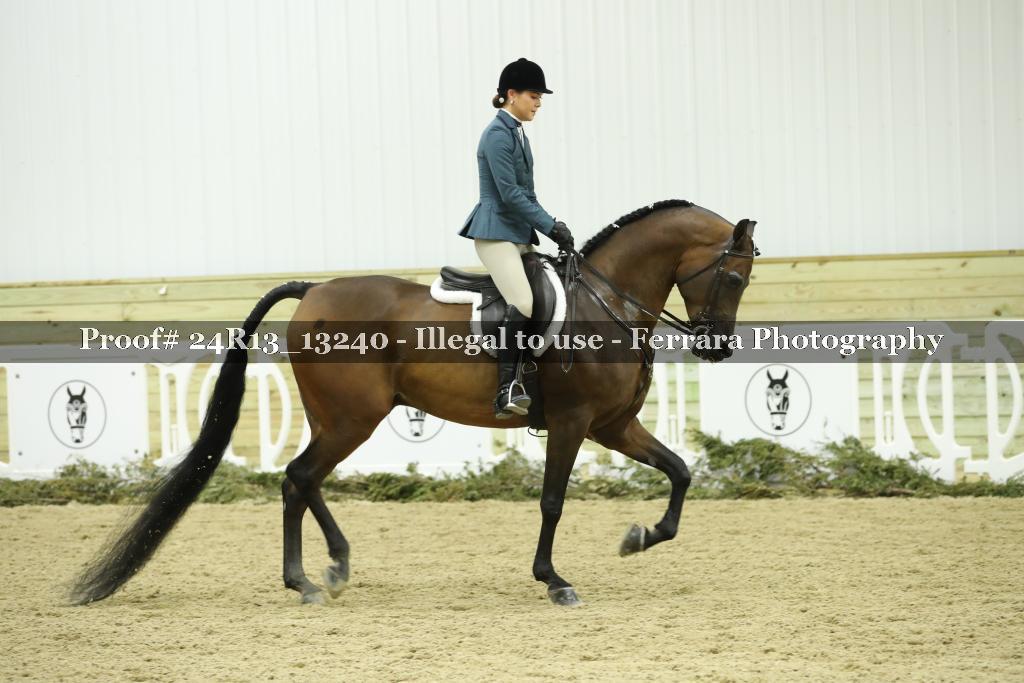 Proof 24R13_13240