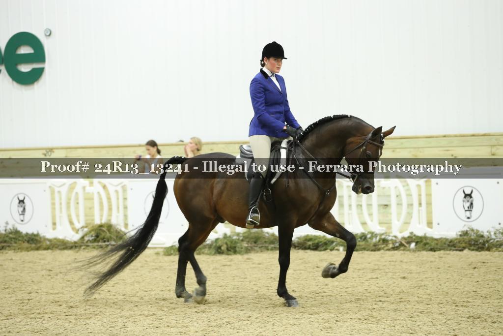 Proof 24R13_13241