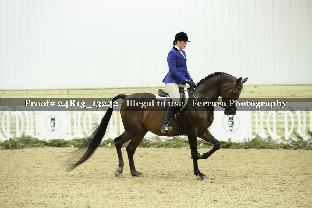 Proof 24R13_13242