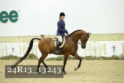 24R13_13243 proof