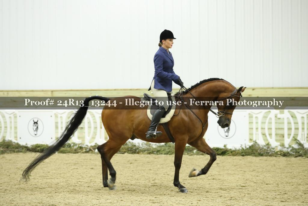 Proof 24R13_13244