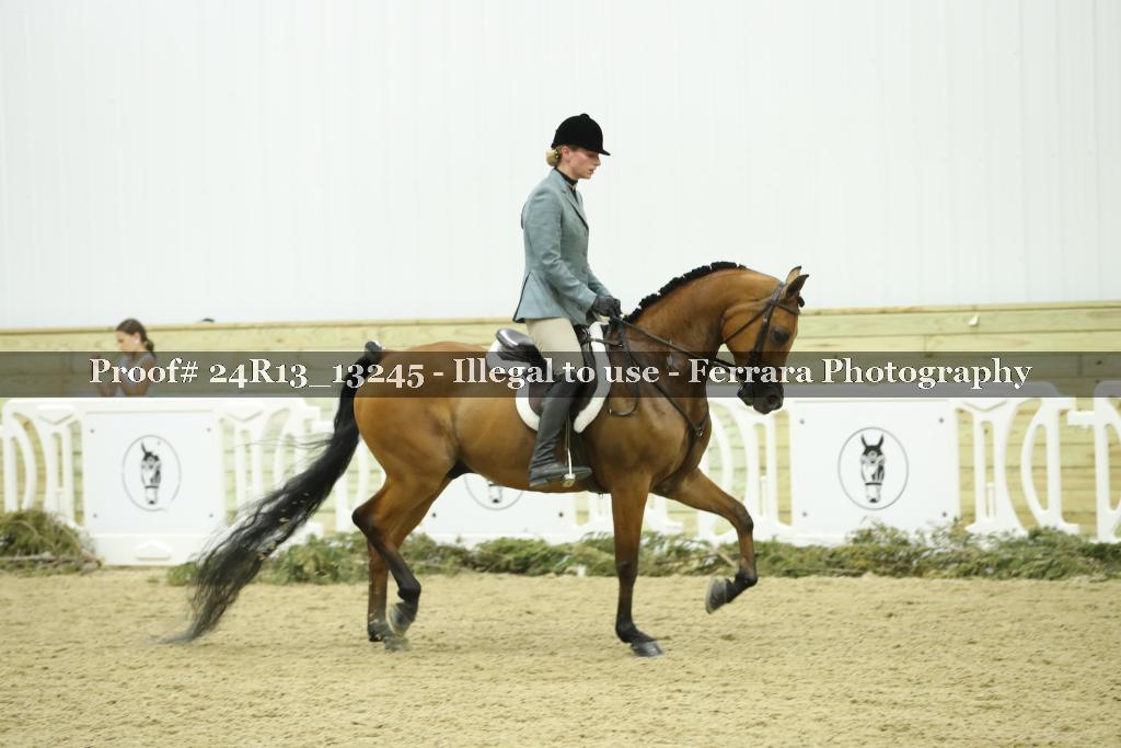 Proof 24R13_13245