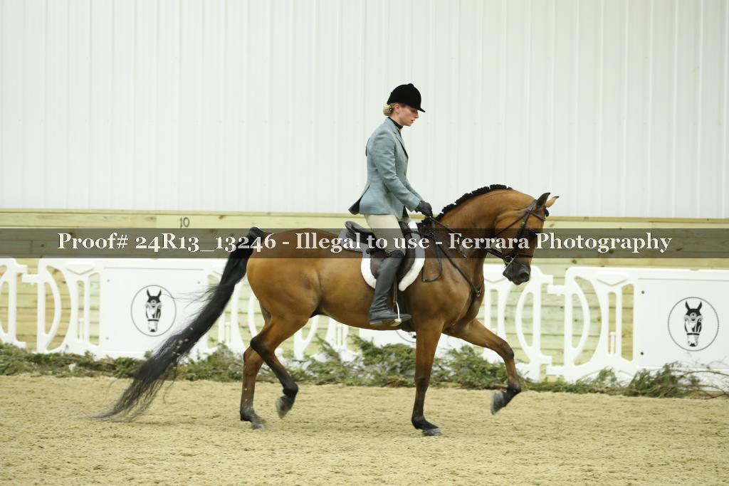 Proof 24R13_13246