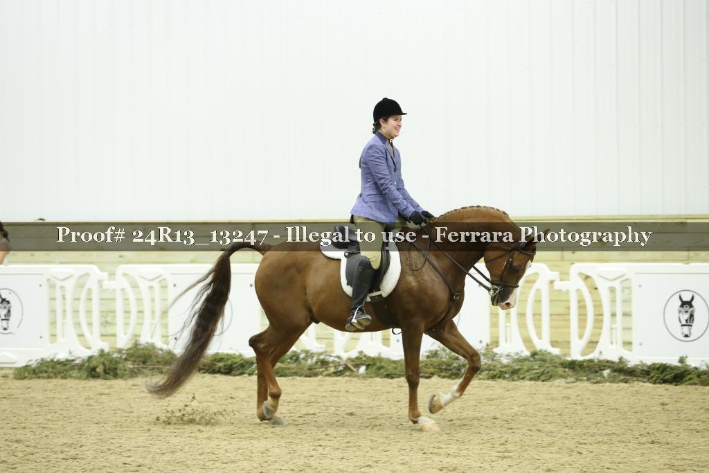 Proof 24R13_13247