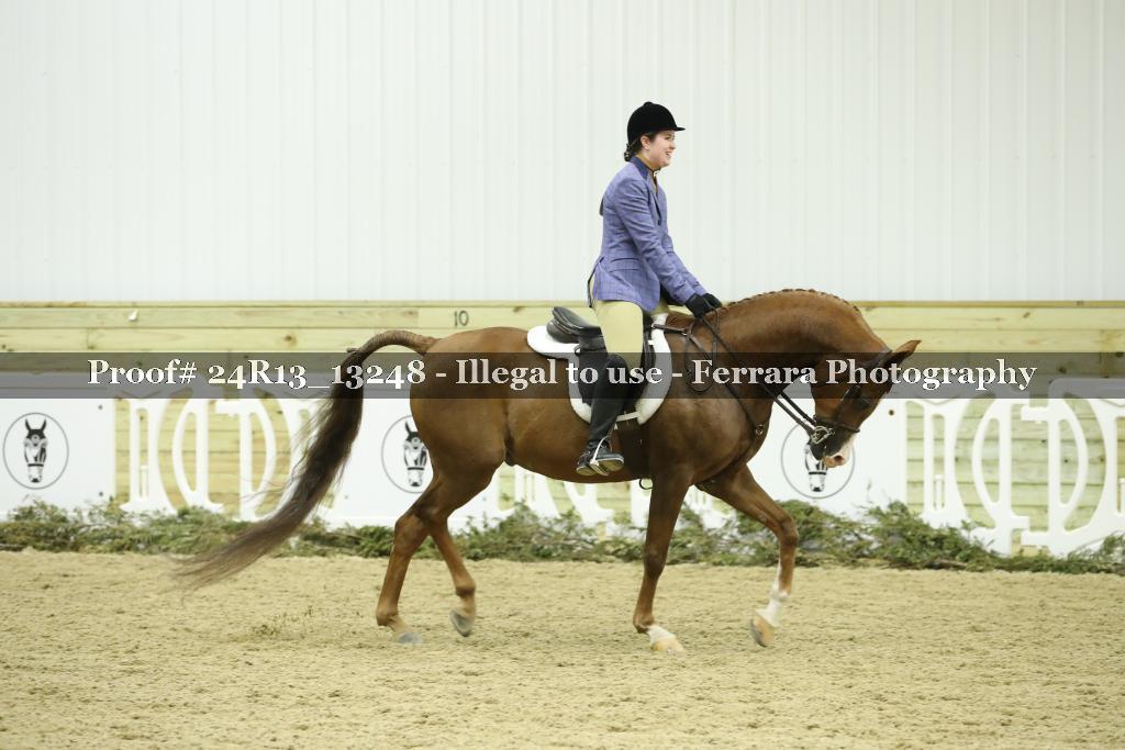 Proof 24R13_13248