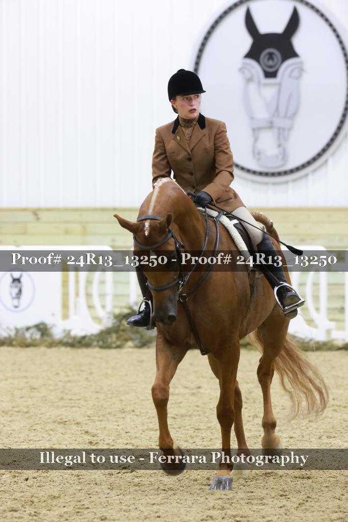 Proof 24R13_13250