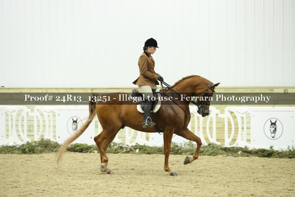 Proof 24R13_13251