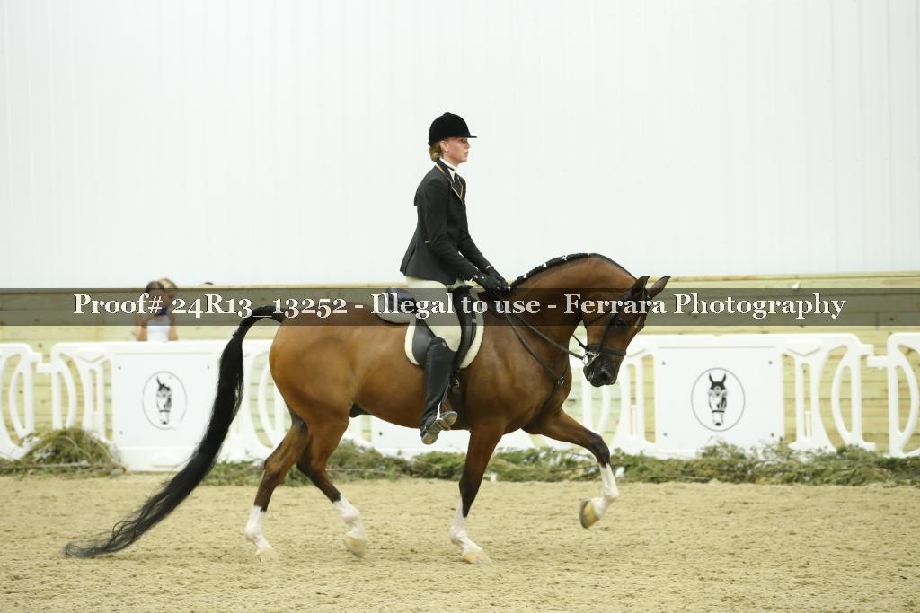 Proof 24R13_13252