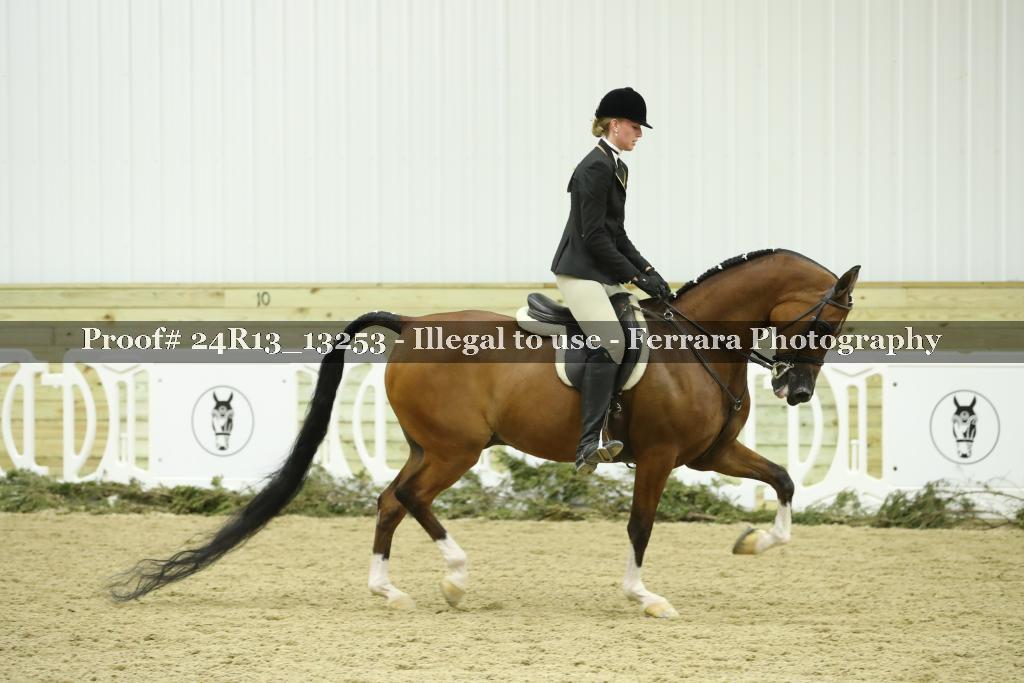 Proof 24R13_13253