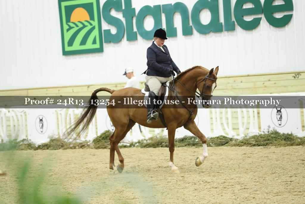 Proof 24R13_13254