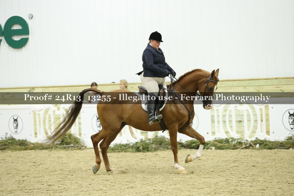 Proof 24R13_13255