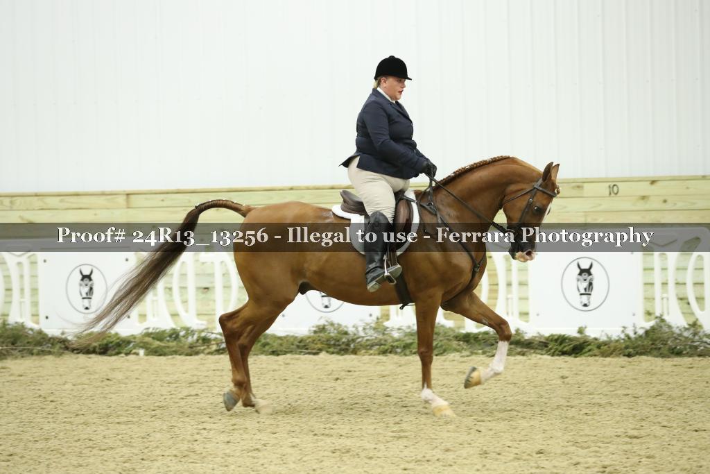 Proof 24R13_13256