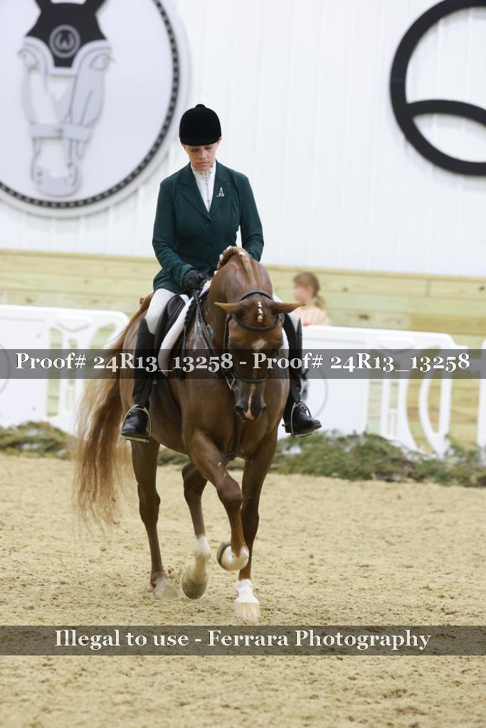 Proof 24R13_13258