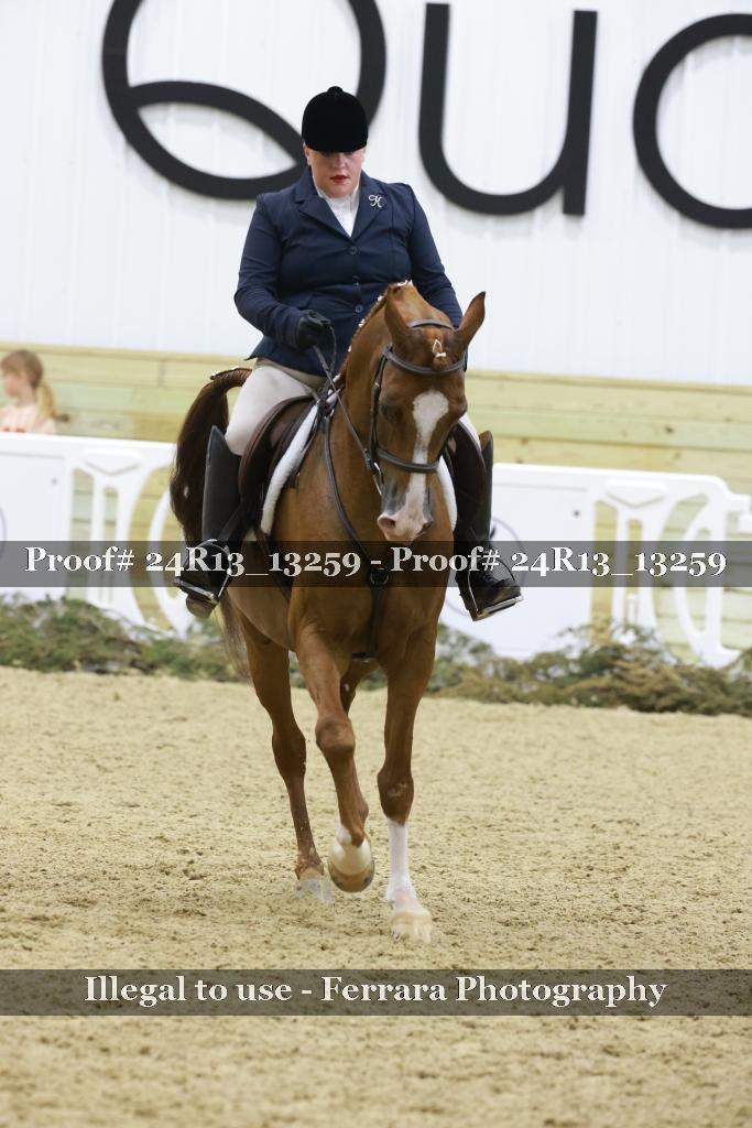 Proof 24R13_13259
