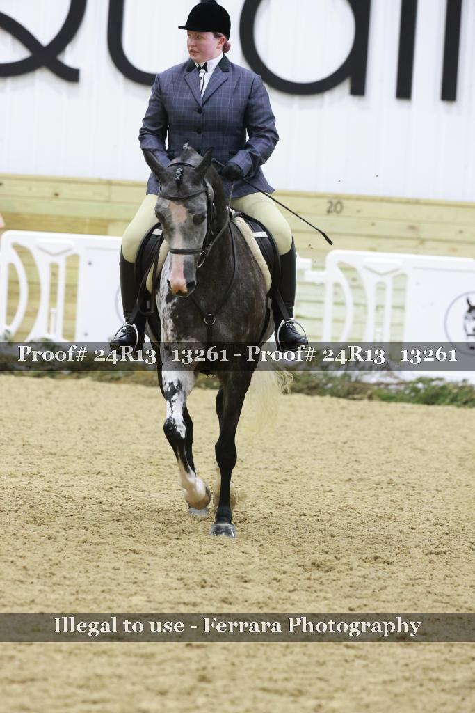 Proof 24R13_13261