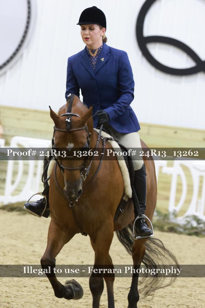 Proof 24R13_13262