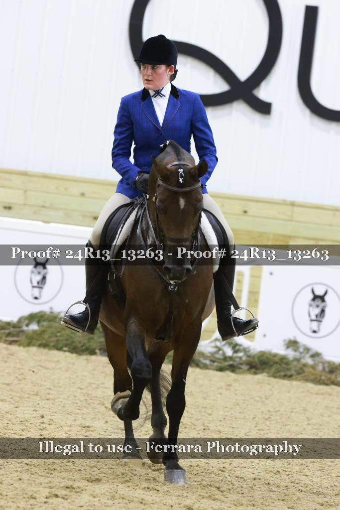 Proof 24R13_13263