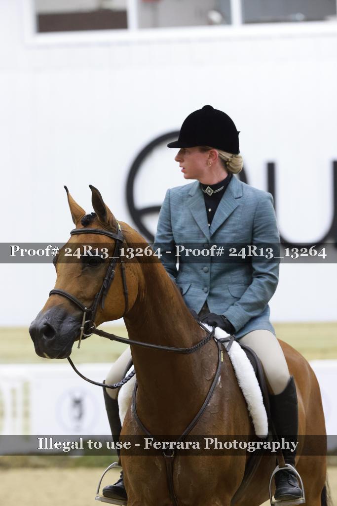 Proof 24R13_13264
