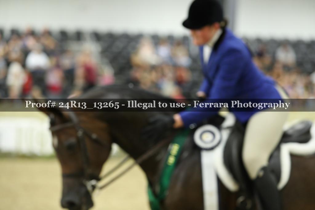 Proof 24R13_13265