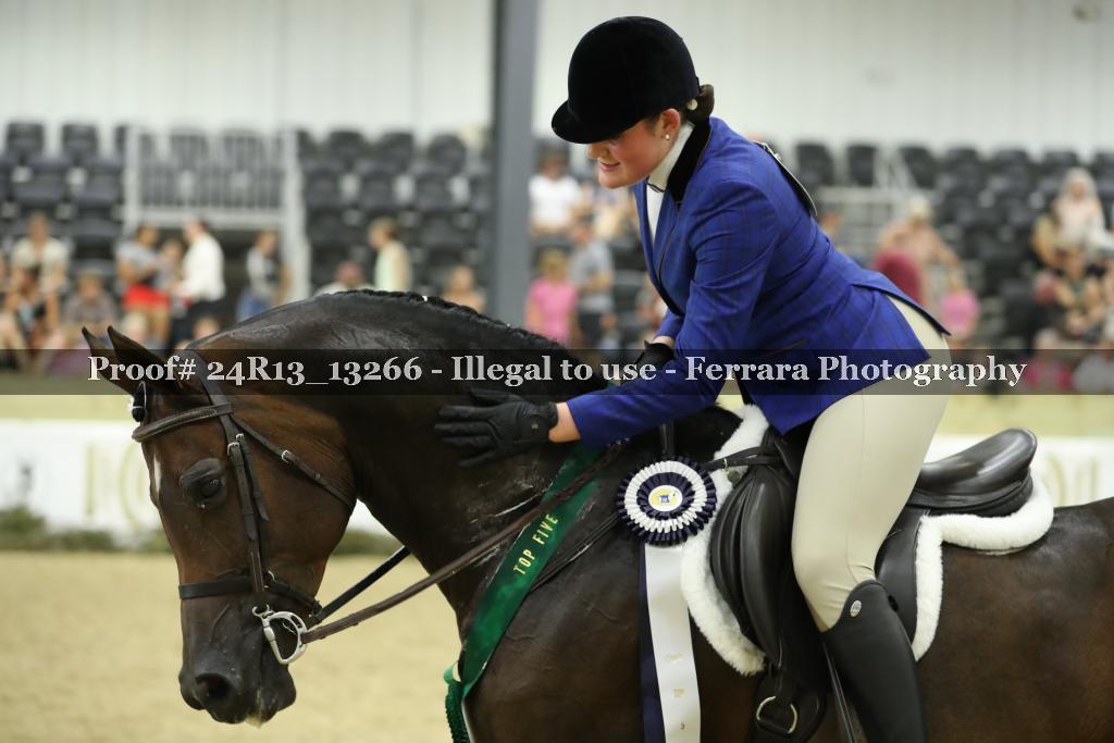 Proof 24R13_13266