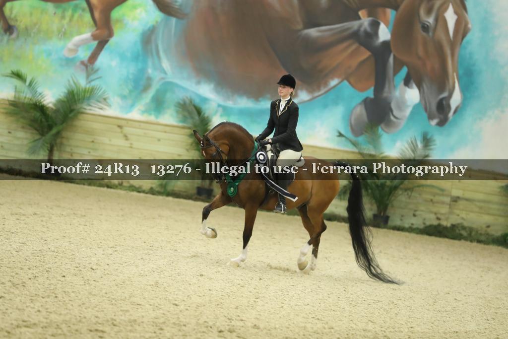 Proof 24R13_13276