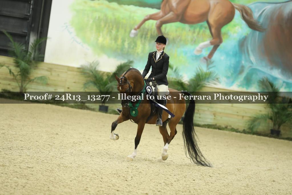 Proof 24R13_13277