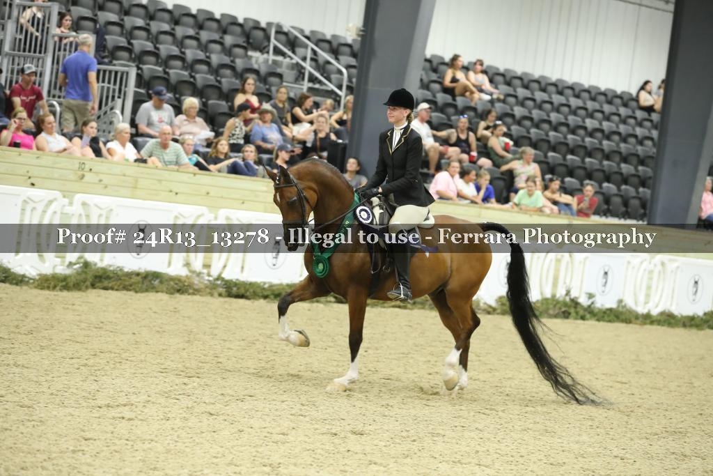 Proof 24R13_13278